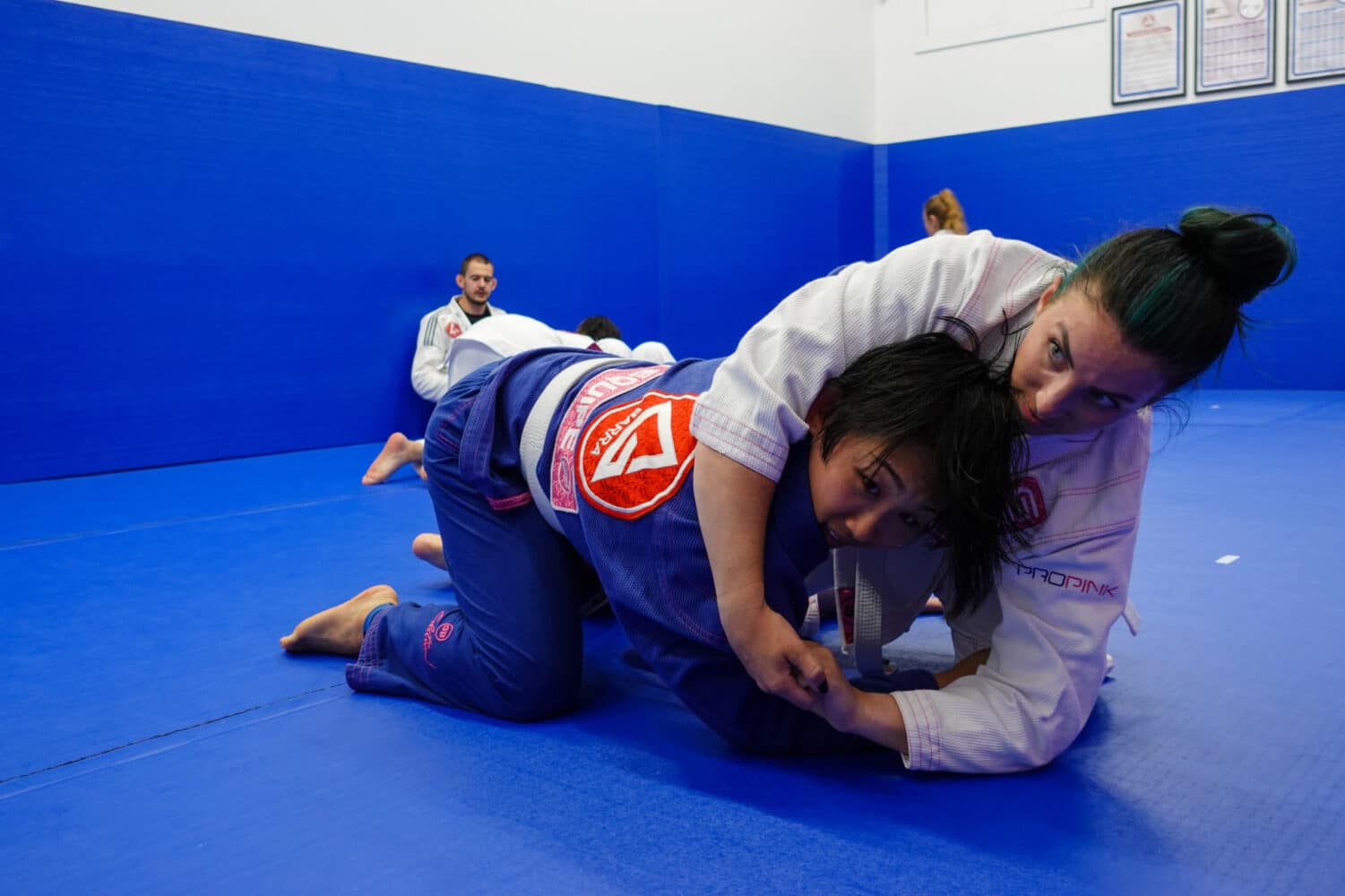 Adult JiuJitsu Gracie Barra ChicagoWest Loop